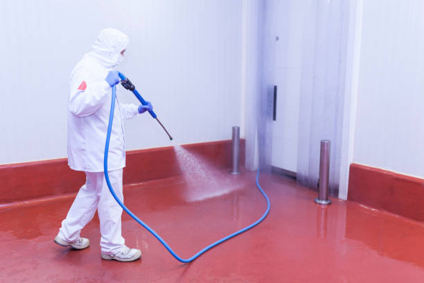 Best Pre-Holiday Cleaning  in Commerce, TX